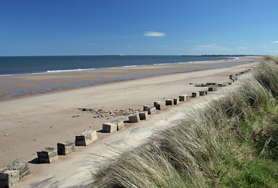 Warkworth Beach, Northumberland Coast.