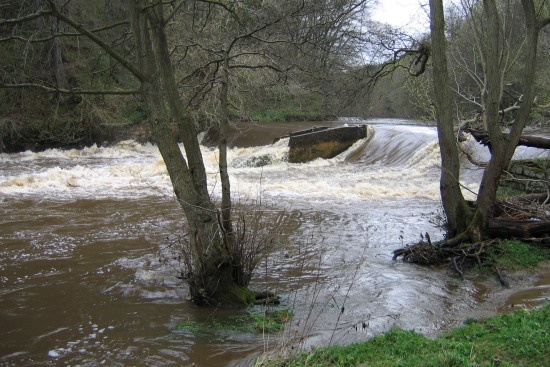 River Wansbeckat Bothal Weir, Northumberland.