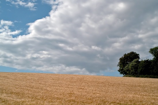 Bothal, Northumberland.