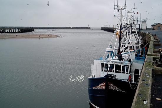 Amble, Northumberland.