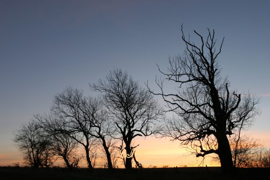 Nunriding, Northumberland.