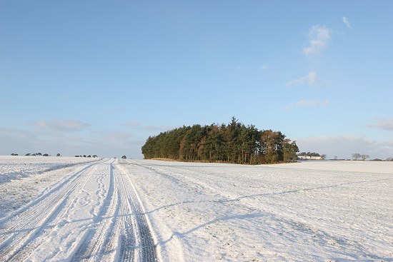 Nunriding, Northumberland.