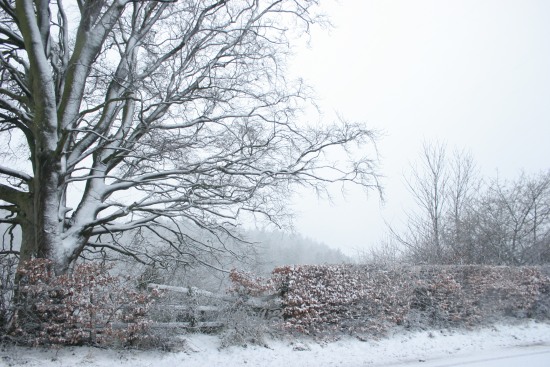 Bothal, Northumberland