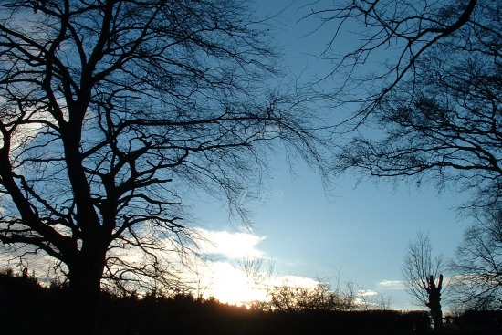 Bothal, Northumberland.