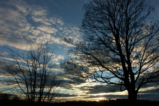 Sunset at Bothal, Northumberland.