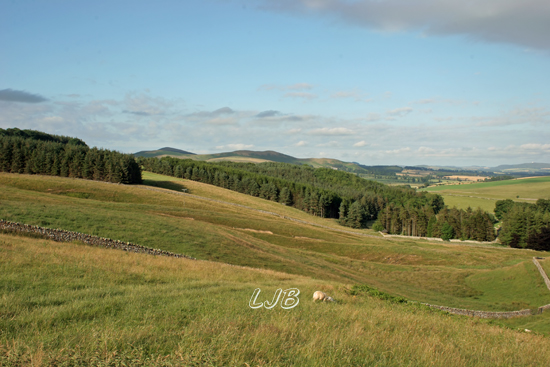 Alnham, Northumberland.