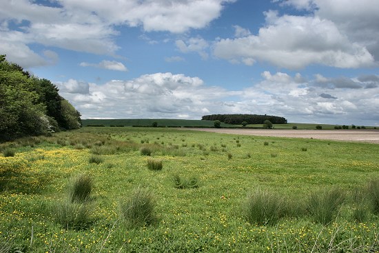 Cramlington, Northumberland.