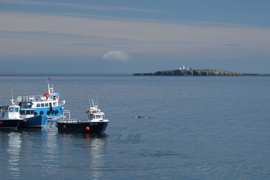 Seahouses, Northumberland Coast