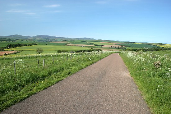 Road to Holburn, Northumberland.