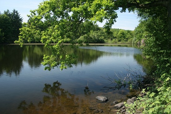 Swinhoe Lakes, Northumberland.