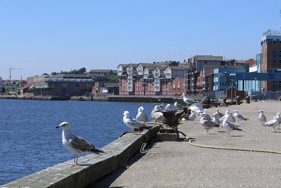 North Shields Fish Quay, River Tyne.