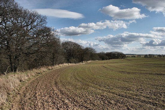 Nunriding, Northumberland.