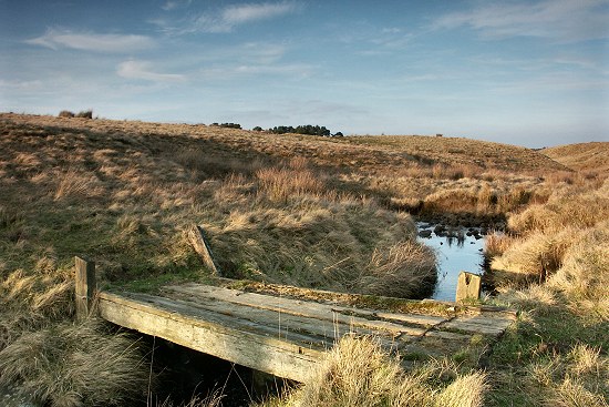 Ray Burn, Northumberland.