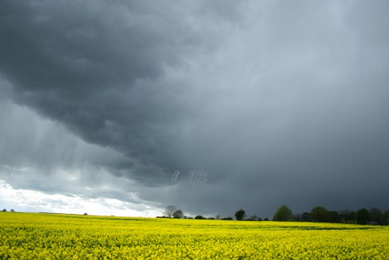 Bothal, Northumberland