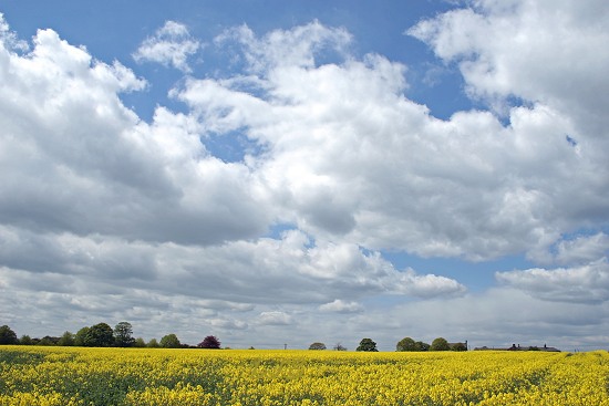 Bothal, Northumberland