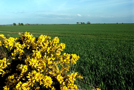 Nunriding, Northumberland