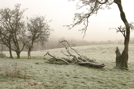 Bothal, Northumberland.
