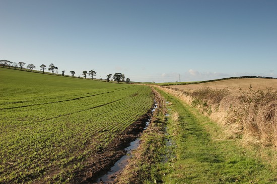 Battle of Flodden Field, North Northumberland.