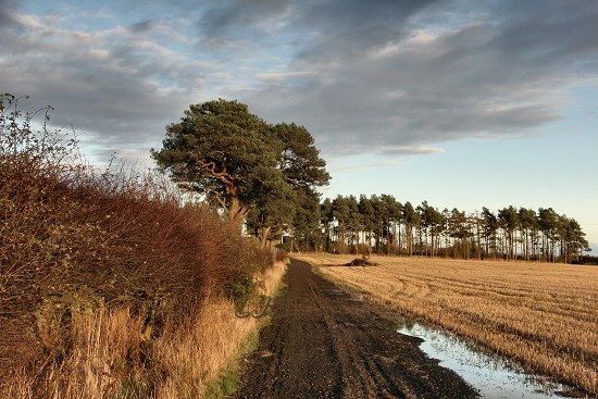Nunriding, Northumberland.