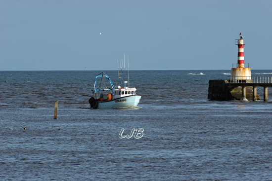 Amble, Northumberland.