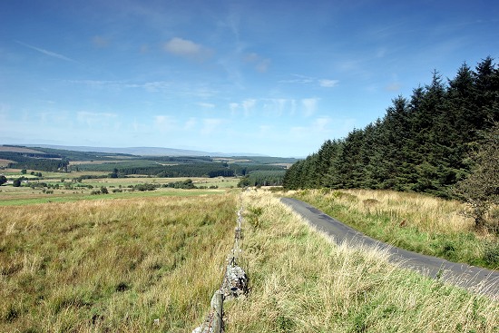 Kershope Forest, Cumbria.
