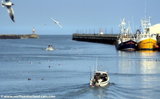 Amble Harbour, Northumberland.