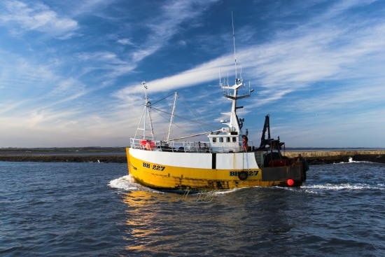 Entering the River Coquet at Amble.
