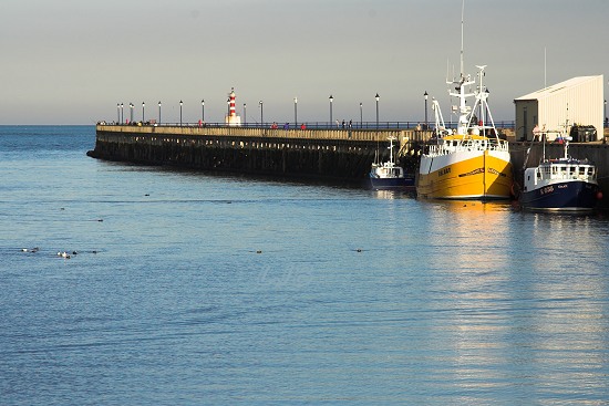 Amble Harbour
