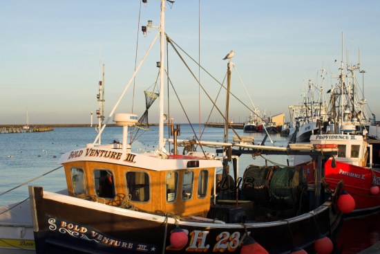 Amble Harbour