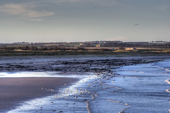 Warkworth Beach.