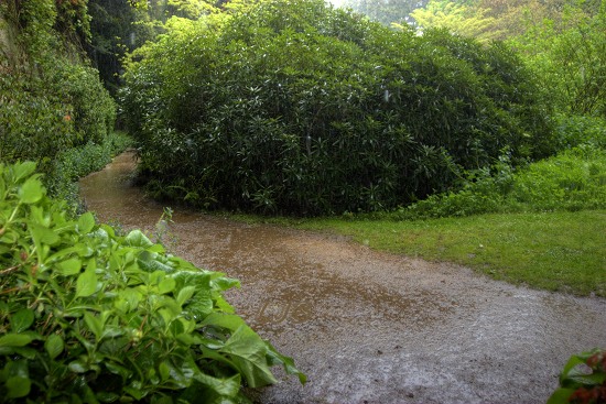 Belsay Gardens.