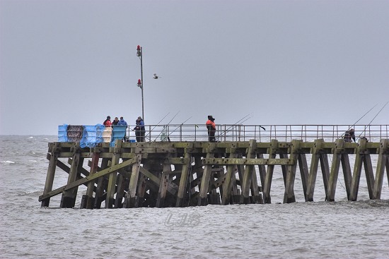 Anglers on Blyth West Pier