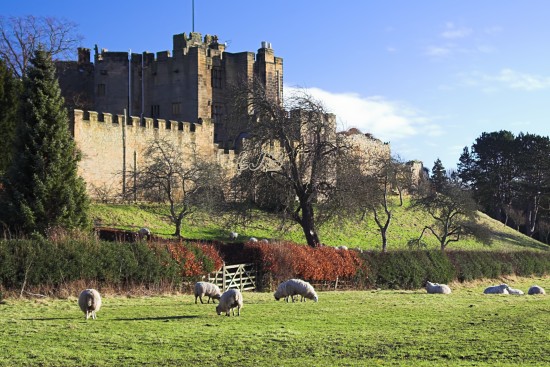 Bothal Castle