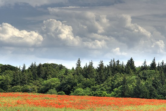 Bothal, Northumberland