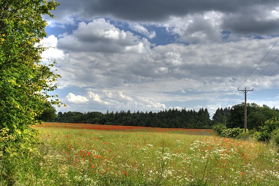 Bothal, Northumberland