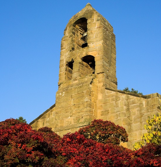 Bothal Church