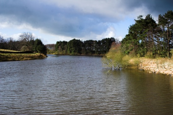Colt Crag Reservoir, Northumberland.