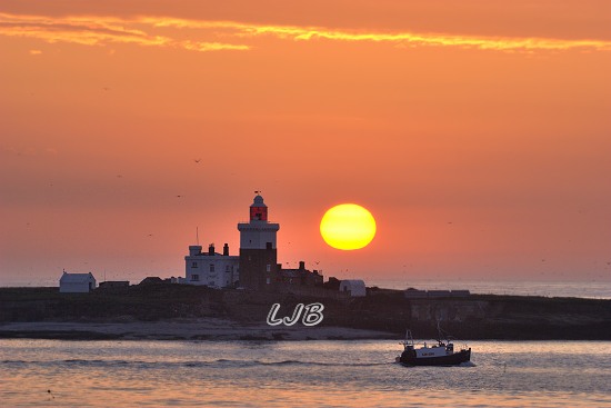 Sunrise at Coquet Island, Northumberland.