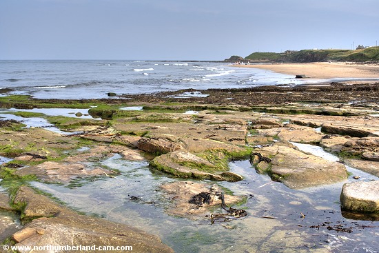 Cresswell, Northumberland.