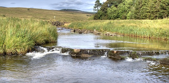 Liddel Water