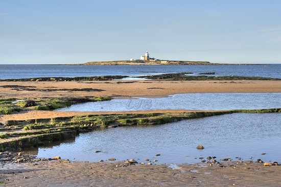 Coquet Island, Northumberland Coast.