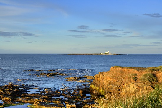 Coquet Island, Northumberland Coast, Amble.