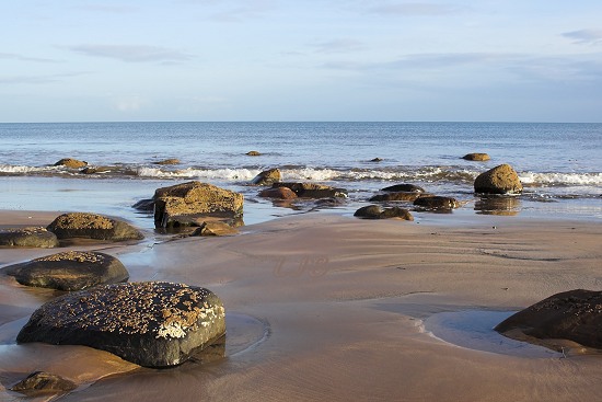 Hauxley Haven