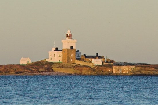 Coquet Island