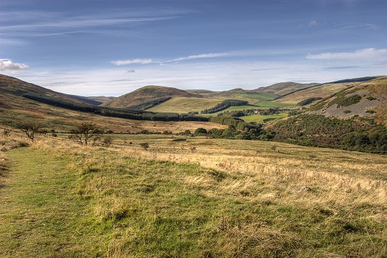 Coolege Valley, Cheviot Hills.