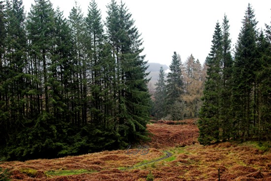 Leaplish, Kielder Water, Northumberland.