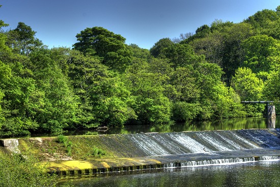 River Wansbeck