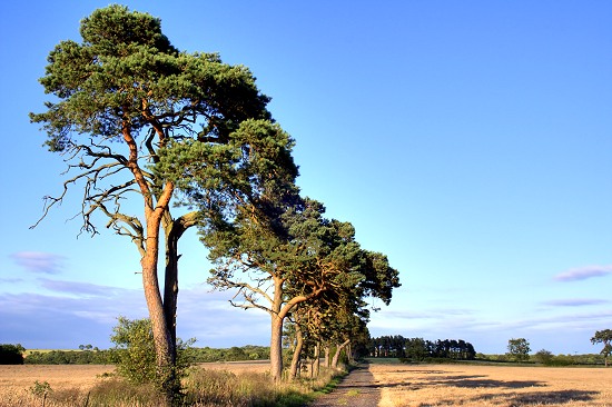 Nunriding, Northumberland