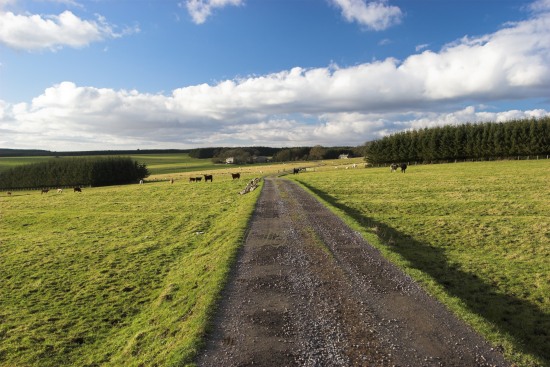 Rothley, view to Greenleighton.