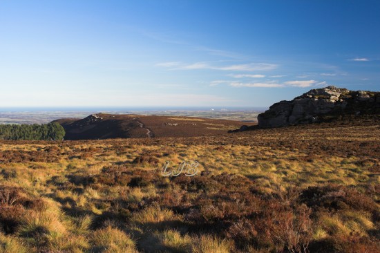 Simonside Hills, near Rothbury, Northumberland.